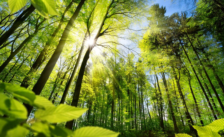 Verantwoord beleggen voor jouw Shell pensioen 750 x 460